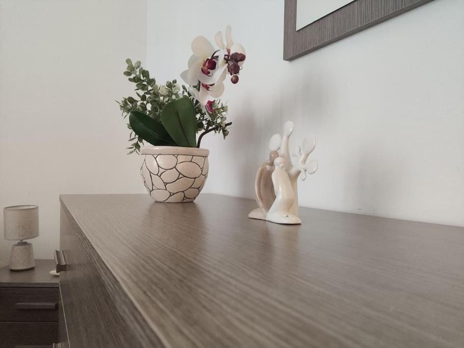 Apartament Centro Storico-Imbarcadero Per Le Isole***** Trapani Zewnętrze zdjęcie